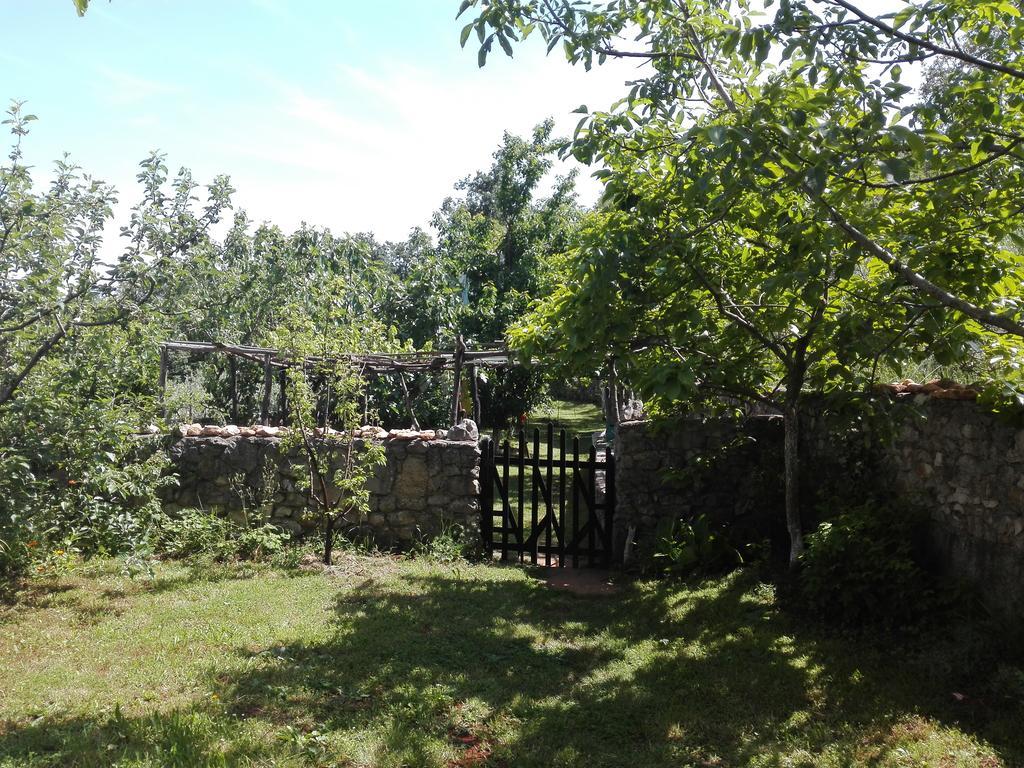 Apartments Hatic Drenje  المظهر الخارجي الصورة